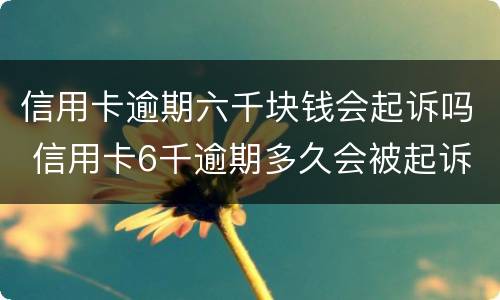 信用卡逾期六千块钱会起诉吗 信用卡6千逾期多久会被起诉