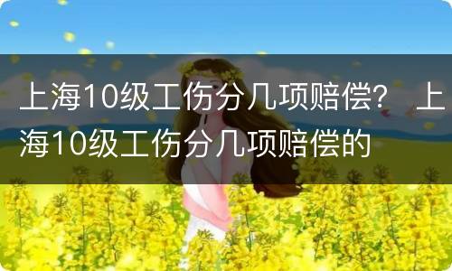 上海10级工伤分几项赔偿？ 上海10级工伤分几项赔偿的