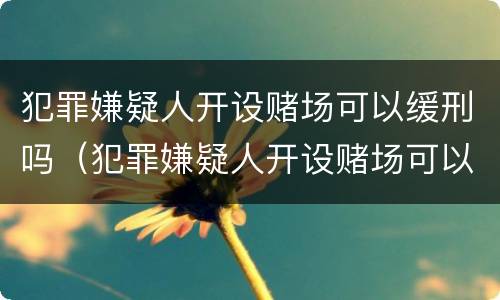 犯罪嫌疑人开设赌场可以缓刑吗（犯罪嫌疑人开设赌场可以缓刑吗判多久）