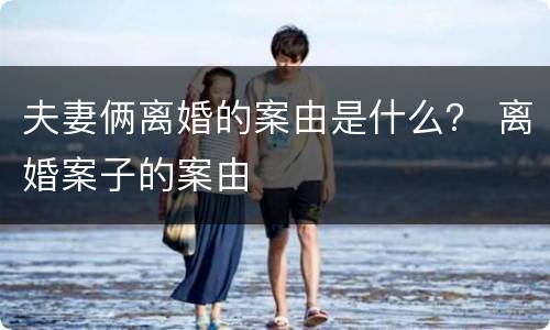 夫妻俩离婚的案由是什么？ 离婚案子的案由