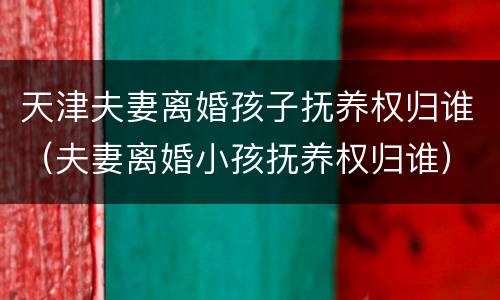 天津夫妻离婚孩子抚养权归谁（夫妻离婚小孩抚养权归谁）