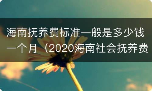 海南抚养费标准一般是多少钱一个月（2020海南社会抚养费多少钱）
