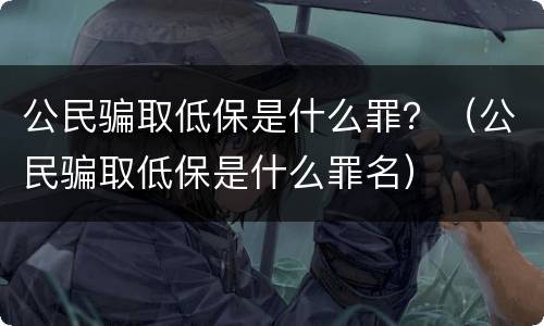 公民骗取低保是什么罪？（公民骗取低保是什么罪名）