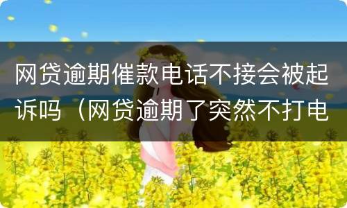 网贷逾期催款电话不接会被起诉吗（网贷逾期了突然不打电话催款了）
