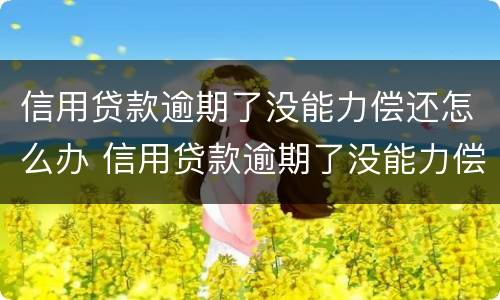 信用贷款逾期了没能力偿还怎么办 信用贷款逾期了没能力偿还怎么办会找到前妻吗