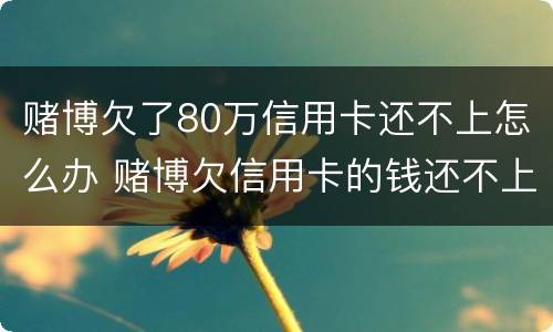 赌博欠了80万信用卡还不上怎么办 赌博欠信用卡的钱还不上怎么办