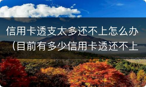 信用卡透支太多还不上怎么办（目前有多少信用卡透还不上的）