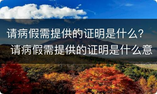 请病假需提供的证明是什么？ 请病假需提供的证明是什么意思