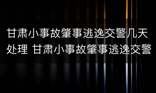甘肃小事故肇事逃逸交警几天处理 甘肃小事故肇事逃逸交警几天处理完