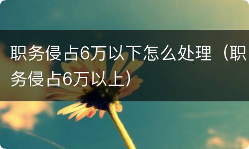 职务侵占6万以下怎么处理（职务侵占6万以上）