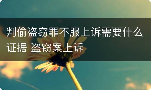 判偷盗窃罪不服上诉需要什么证据 盗窃案上诉