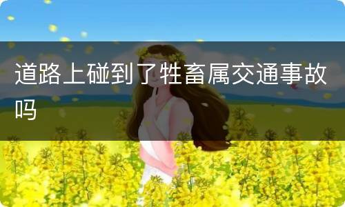 道路上碰到了牲畜属交通事故吗