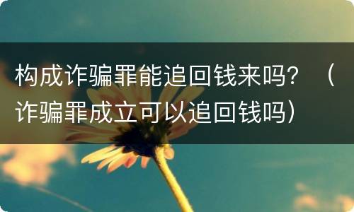 构成诈骗罪能追回钱来吗？（诈骗罪成立可以追回钱吗）