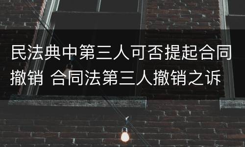 民法典中第三人可否提起合同撤销 合同法第三人撤销之诉