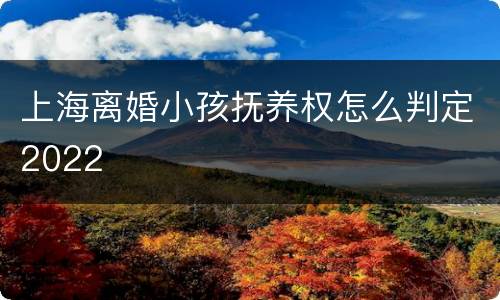 上海离婚小孩抚养权怎么判定2022