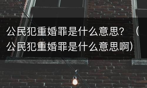 公民犯重婚罪是什么意思？（公民犯重婚罪是什么意思啊）