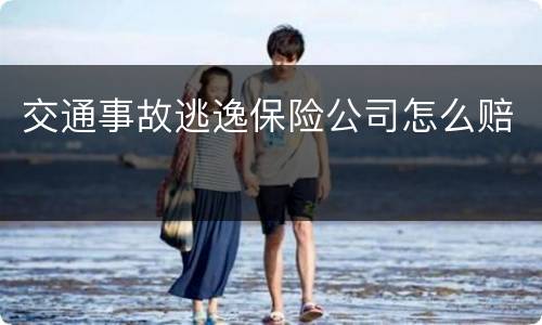 交通事故逃逸保险公司怎么赔