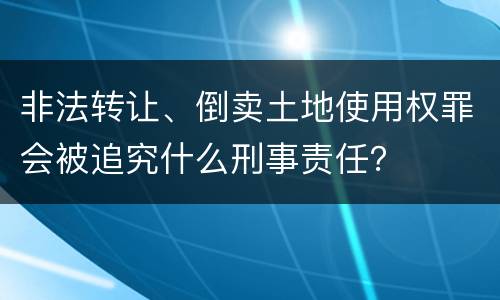 非法转让、倒卖土地使用权罪会被追究什么刑事责任？