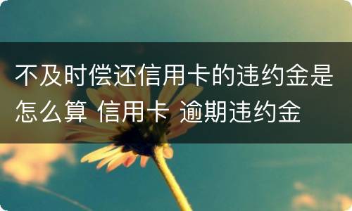 不及时偿还信用卡的违约金是怎么算 信用卡 逾期违约金