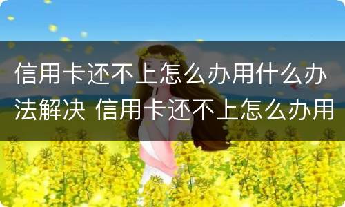 信用卡还不上怎么办用什么办法解决 信用卡还不上怎么办用什么办法解决呢