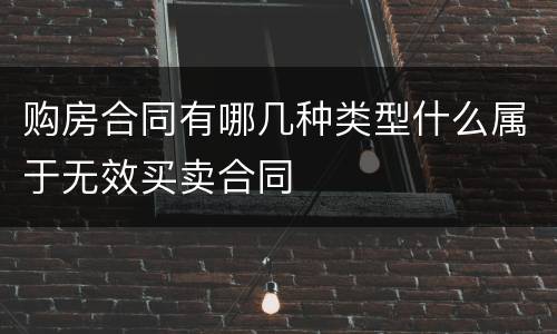 购房合同有哪几种类型什么属于无效买卖合同