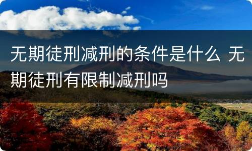 无期徒刑减刑的条件是什么 无期徒刑有限制减刑吗