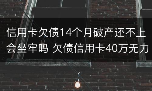 信用卡欠债14个月破产还不上会坐牢吗 欠债信用卡40万无力偿还会坐牢吗