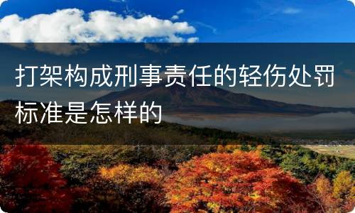 打架构成刑事责任的轻伤处罚标准是怎样的