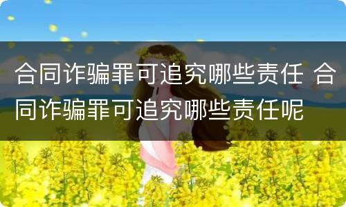 合同诈骗罪可追究哪些责任 合同诈骗罪可追究哪些责任呢
