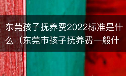 东莞孩子抚养费2022标准是什么（东莞市孩子抚养费一般什么标准）