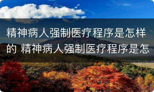 精神病人强制医疗程序是怎样的 精神病人强制医疗程序是怎样的案例