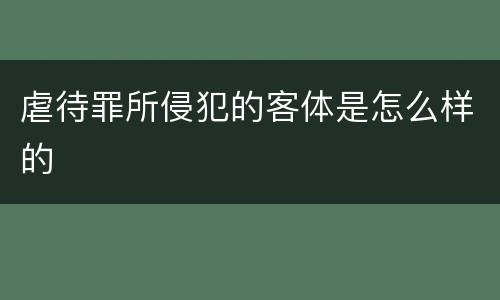 虐待罪所侵犯的客体是怎么样的