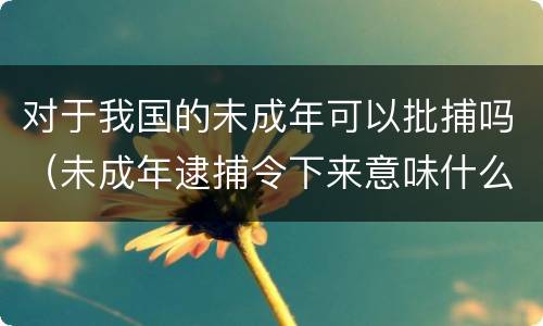 对于我国的未成年可以批捕吗（未成年逮捕令下来意味什么）