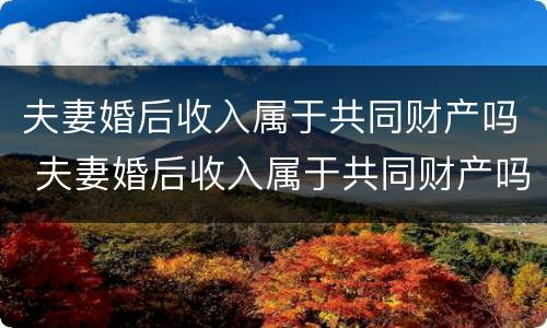 夫妻婚后收入属于共同财产吗 夫妻婚后收入属于共同财产吗