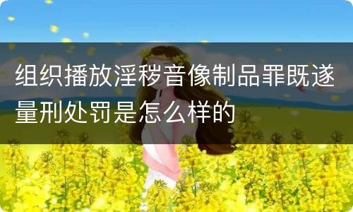 组织播放淫秽音像制品罪既遂量刑处罚是怎么样的