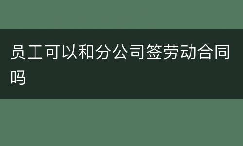 员工可以和分公司签劳动合同吗