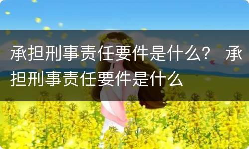 承担刑事责任要件是什么？ 承担刑事责任要件是什么