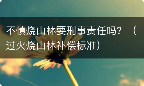 不慎烧山林要刑事责任吗？（过火烧山林补偿标准）