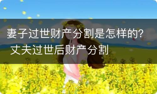 妻子过世财产分割是怎样的？ 丈夫过世后财产分割