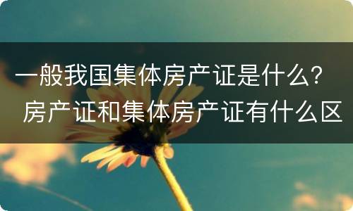 一般我国集体房产证是什么？ 房产证和集体房产证有什么区别