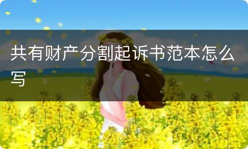 共有财产分割起诉书范本怎么写