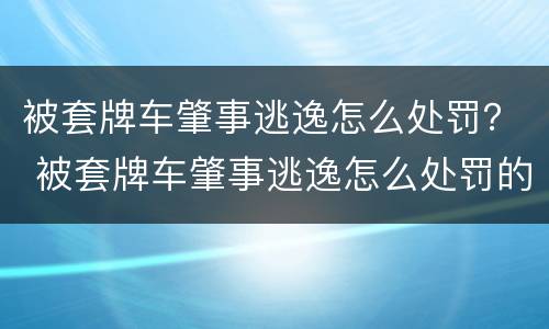 被套牌车肇事逃逸怎么处罚？ 被套牌车肇事逃逸怎么处罚的