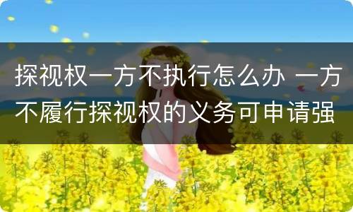 探视权一方不执行怎么办 一方不履行探视权的义务可申请强制执行吗