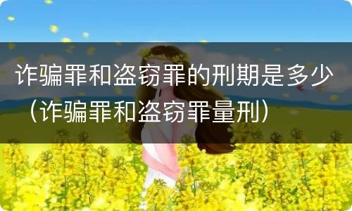 诈骗罪和盗窃罪的刑期是多少（诈骗罪和盗窃罪量刑）