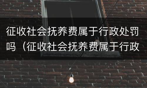 征收社会抚养费属于行政处罚吗（征收社会抚养费属于行政处罚吗对吗）