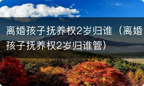 离婚孩子抚养权2岁归谁（离婚孩子抚养权2岁归谁管）