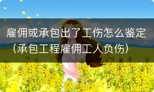 雇佣或承包出了工伤怎么鉴定（承包工程雇佣工人负伤）