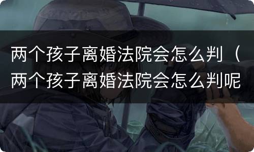 两个孩子离婚法院会怎么判（两个孩子离婚法院会怎么判呢）