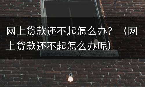 网上贷款还不起怎么办？（网上贷款还不起怎么办呢）