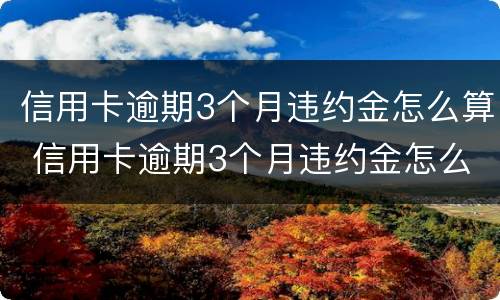 信用卡逾期3个月违约金怎么算 信用卡逾期3个月违约金怎么算的